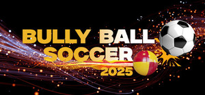 Bully Ball Soccer banner