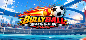 Bully Ball Soccer banner