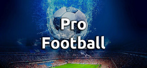 Pro Football banner