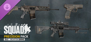 Squad Weapon Skins - Precision Strike Pack banner