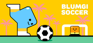 Blumgi Soccer banner