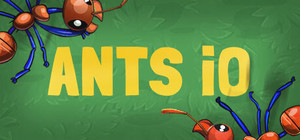 Ants.io banner