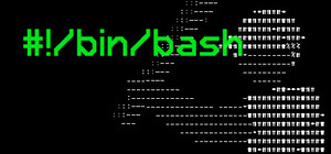 #!/bin/bash banner