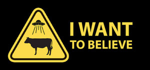 I Want to Believe banner