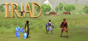 Triad banner