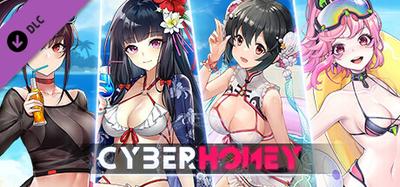 赛博甜心-夏日约会