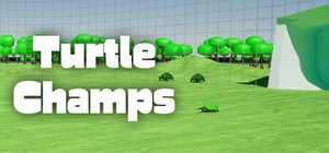 Turtle Champs banner