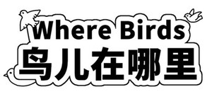 Where Birds 鸟儿在哪里 banner