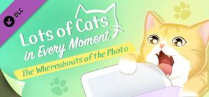 Lots of Cats in Every Moment: The Whereabouts of the Photo banner