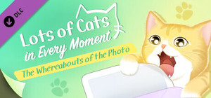 Lots of Cats in Every Moment: The Whereabouts of the Photo banner
