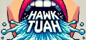 Hawk Tuah banner