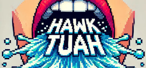 Hawk Tuah banner