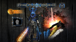 Divine Paladin Supporter Pack banner