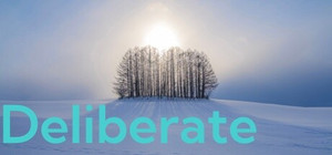 Deliberate banner