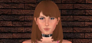 Titanium Armor shield banner