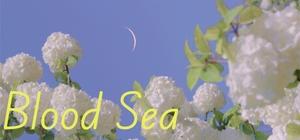 Blood Sea banner