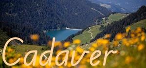 Cadaver banner