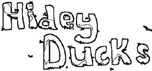 Hidey Ducks: Seasons banner