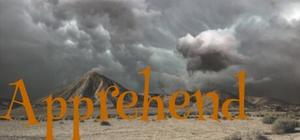 Apprehend banner
