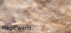 Magic wand banner