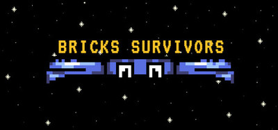 Bricks Survivors
