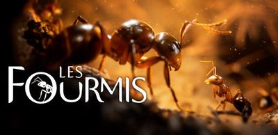 Les Fourmis