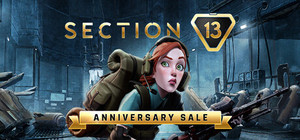 Section 13 banner