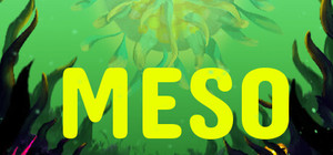 MESO banner