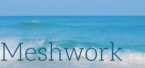Meshwork banner