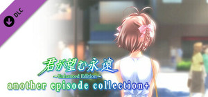 Kimi ga Nozomu Eien Enhanced Edition another episode collection+ banner