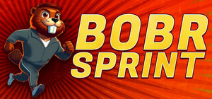 BOBR SPRINT banner