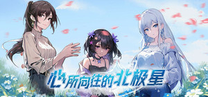 心所向往的北极星 banner