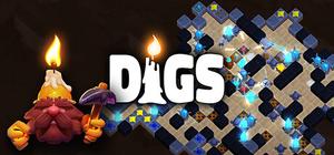 Digs TD banner