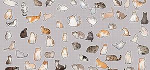 Catnip Pack banner