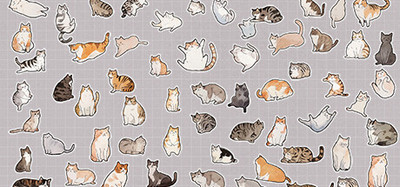 Catnip Pack