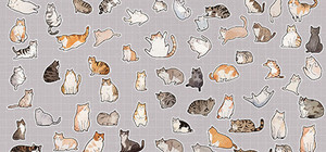 Cats Pack banner