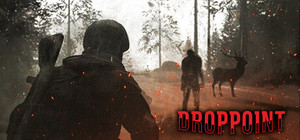 Drop Point banner