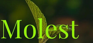 Molest banner