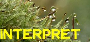 Interpret banner
