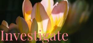 Investigate banner