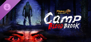 Pinball M - Camp Bloodbrook banner