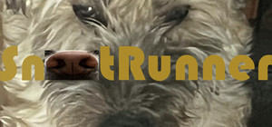 Snoot Runner banner