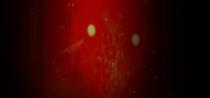 Polygon of Reality | Games banner