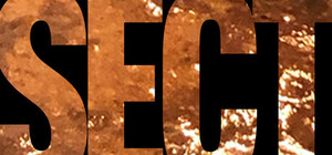 SECT banner