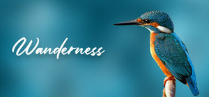 Wanderness banner