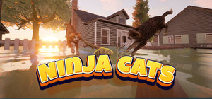Ninja Cats banner