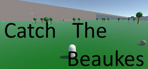 Catch The Beaukes banner