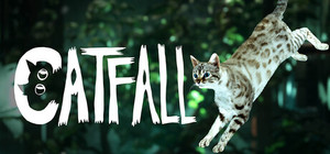 Catfall banner
