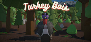 Turkey Bois banner