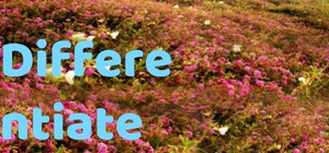 Differentiate banner